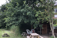 09D611E0-1E19-48E3-BEDC-DB0856259581_1_105_c