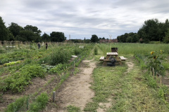 1302E645-18CB-4479-9D2B-86B0B8A2938E_1_105_c