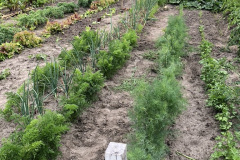 3A430EE2-C16B-41B9-997B-89002BC9A93F_1_105_c