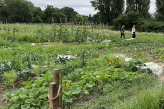 3DBF3747-1DB3-46AA-9415-0256F802BFA2_1_105_c