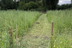 45814069-F32B-425F-BED9-B7C629CBB162_1_105_c