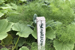 4C326FBB-62FD-4FB9-877A-10A81E2D7A51_1_105_c