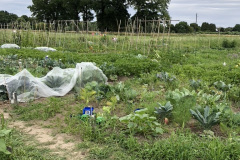 65B00E63-8A0E-4D6B-8B7A-97F1C559D3B9_1_105_c