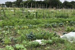 700676FE-9328-4BB2-8865-AF5688A6C29D_1_105_c