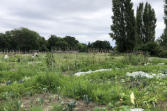 906E5D76-E710-4F85-AF39-E5B4F3AE05BA_1_105_c