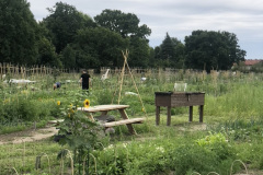 927B1676-EC69-4A32-8E7C-3DDA466AB0C5_1_105_c