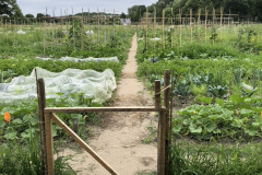 A121ACD0-43B9-47F3-8E78-0F15DDE59987_1_105_c