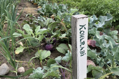 A50F1C66-7D06-48BC-BE08-99B93AC2A183_1_105_c