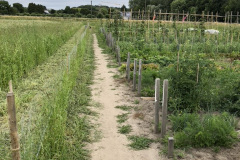 A91F76BF-53C0-4456-A7A5-211B5DBD70F2_1_105_c