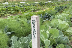 BB43D13A-5CE9-4214-9E7B-76EAC45F48CD_1_105_c