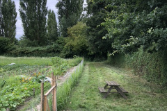 BD8485B7-FC2A-4F9E-A149-350D024088EA_1_105_c