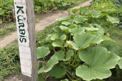 C5AA7334-F421-43FB-8308-5A799E1B07F5_1_105_c