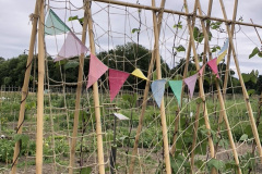 CC181921-F0CB-4815-AD13-B0A7E63F0FE9_1_105_c