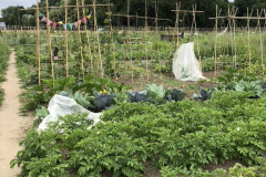 DA74EB41-6620-4622-ACAD-D79D365114B4_1_105_c