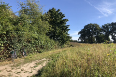 33692067-4B85-494E-A029-A68BF601D7AE_1_105_c