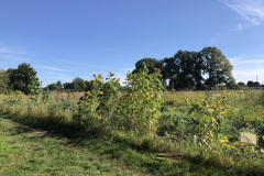 4912BB5F-8660-46A0-8F30-661D2C938666_1_105_c