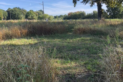 97DCD469-9B7B-4077-82BB-0961FD4DA0DB_1_105_c