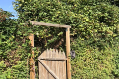 BC669E40-365B-4EEA-8B45-89ED5912C9D8_1_105_c