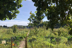 E270EBFB-3802-44BE-A8A7-3809E73C83B1_1_105_c